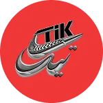 کفش تیک
