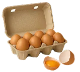 حسابداری پخش تخم مرغ