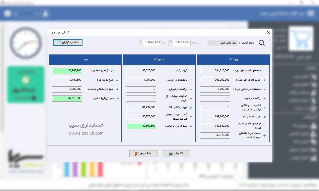 گزارش سود و زیان