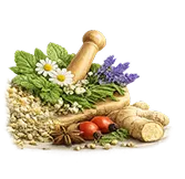 حسابداری فروش گیاهان دارویی